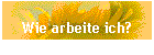 Wie arbeite ich?