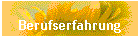 Berufserfahrung